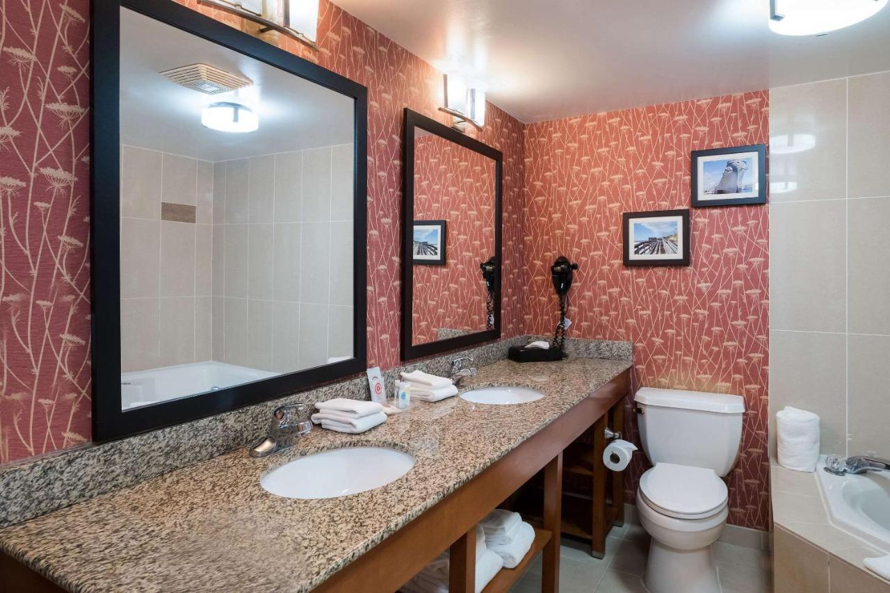 Comfort Suites Suffolk - Chesapeake Extérieur photo